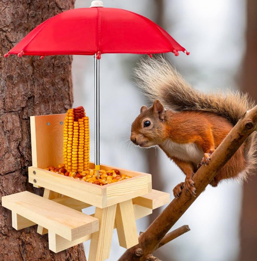 Wooden Squirrel Feeder Picnic Tabler