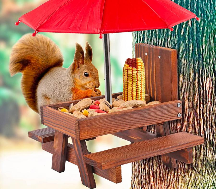 Wooden Squirrel Feeder Picnic Tabler